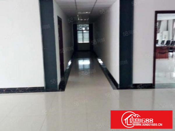 笋！可办环评！滴水9米高5000平单一层独院厂房出租啦！