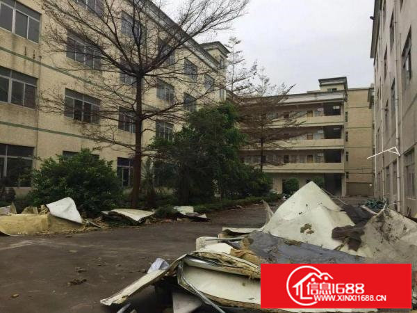 坪山大窝工业区原房东独院四层厂房2400平方米招租