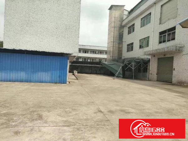 黄江社贝村原房东独门独院5200平方