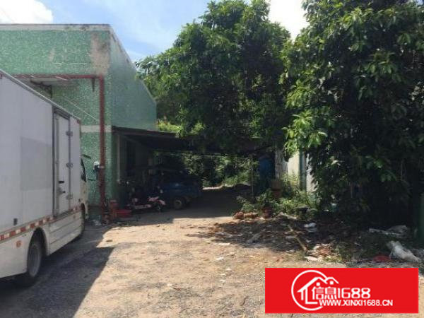 出租坪山区坑梓街道秀新社区独院钢构一楼厂房1000平带办公室