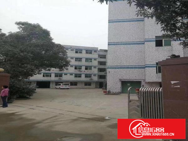 横岗四联小学附近新出一楼560平米厂房出租可分租