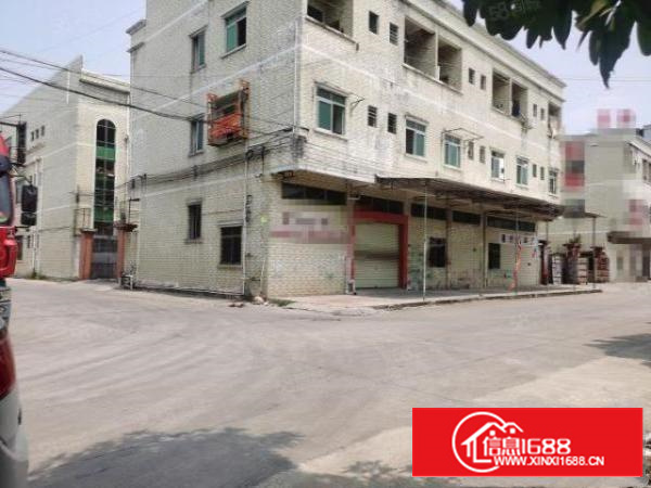 万江简沙洲工业区新出独门独院标准厂房4500平方