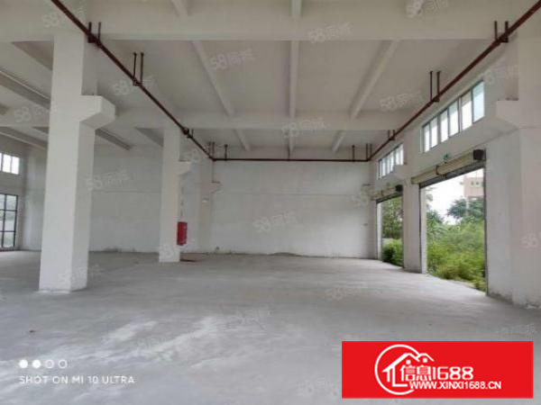 有证，可办环评，大良新建标准独院厂房出租，客分租