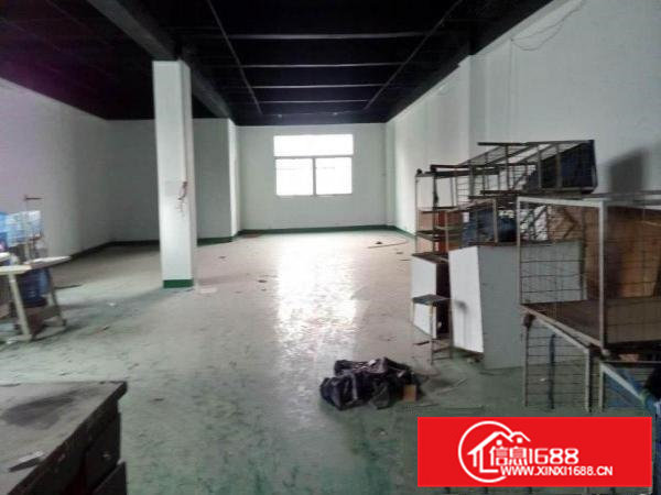 横江厦上坑招租一楼500平方厂房或仓库租金10元