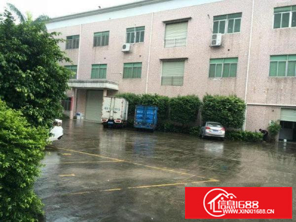 龙西原房东无公摊出租二楼1000平有装修适合电商办公电子