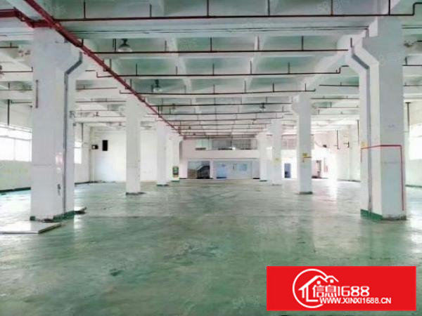 凤岗金凤凰新出原房东独门独院2400平方带豪华精装修厂房出租