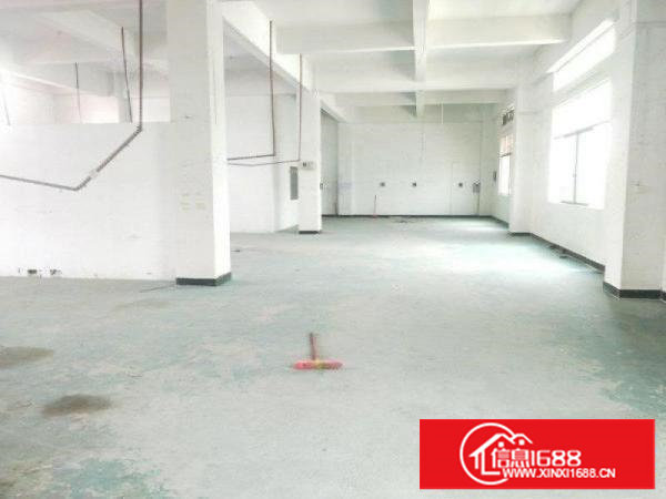 长安厦岗新出一楼350平带装修厂房招租