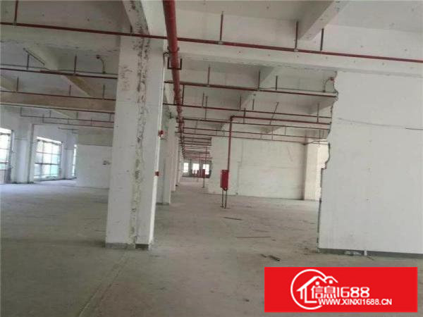 布吉杨美地铁口红本26500平独院厂房出租，十年合同