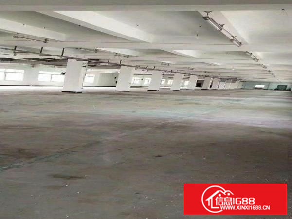 塘厦厂房出租9块9，标准厂房，带消防喷淋。