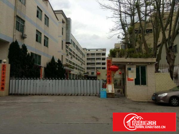 沙头1楼450平，带行车厂房