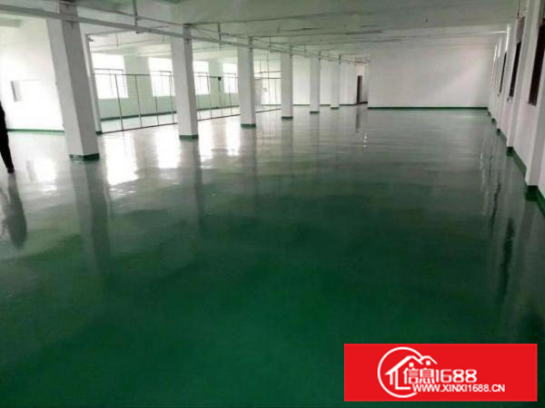 仲恺陈江一楼1100平带现成装修标准厂房招租