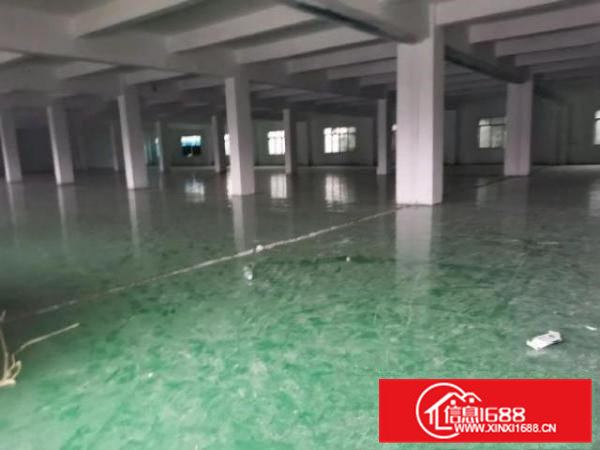 清溪九乡新出刷好地坪漆可做电池整层800平厂房出租