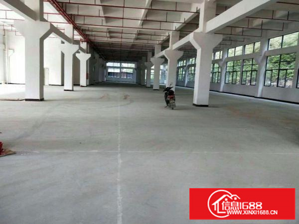 坪山碧岭新出一楼400平厂房出租