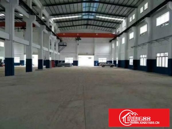 国有土地，不会拆迁，伦教新建厂房出租