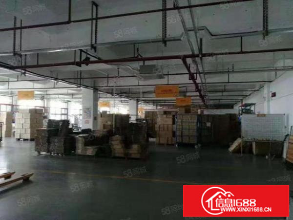 布吉高新科技园2000平米招租，适合电商研发办公等