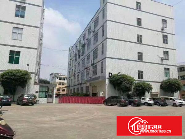 沙井楼上精装修（1000平方）面积实在可办环评