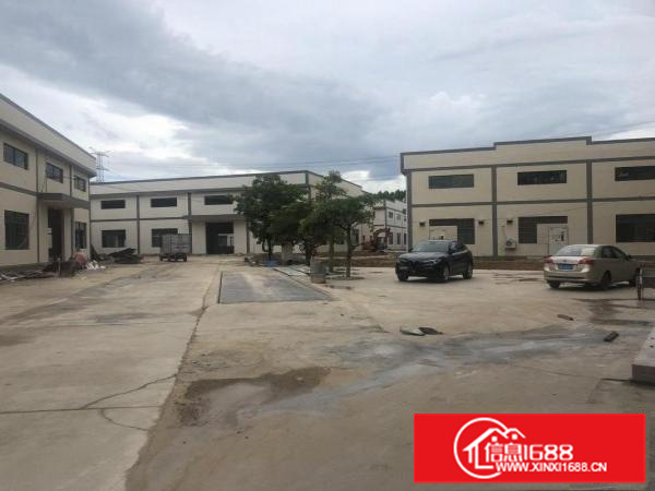 惠东白花全新滴水8.5米钢构16600平米不挑行业大小分租