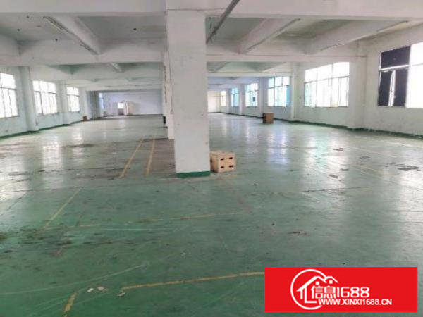 大田洋新出红本厂房2楼1500平方形象好易招工