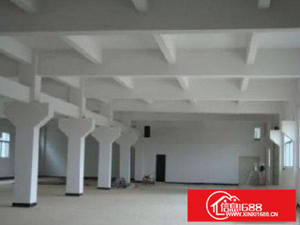 龙岗原房东独院厂房三层每层1600平方出租可分租