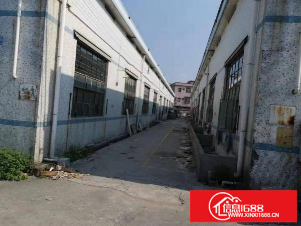 企石工业园10栋钢构厂房12800平出租可分租