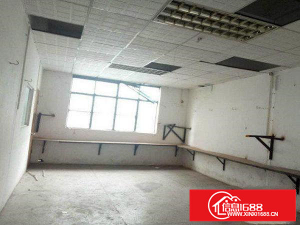 常平金美现有楼上700平米带装修厂房水电齐全