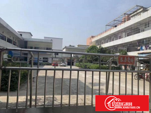 清溪镇新出三中原房东厂房独门独院实际面积3300平方出租