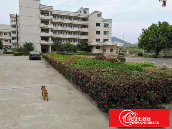 惠阳秋长50000平红本钢构厂房出租