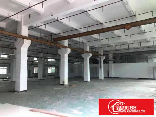 常平新出原房东独门独院厂房出租