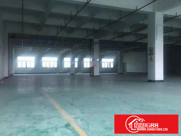 惠阳新墟附近新出一楼810平方招租整租带装修消防喷淋