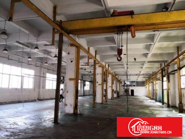 旧村新出1楼1000平带阁楼办公室，车间水电齐全