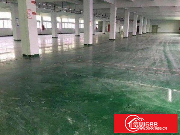 黄江梅塘社区原房东，一楼800平厂房招租，无公摊！