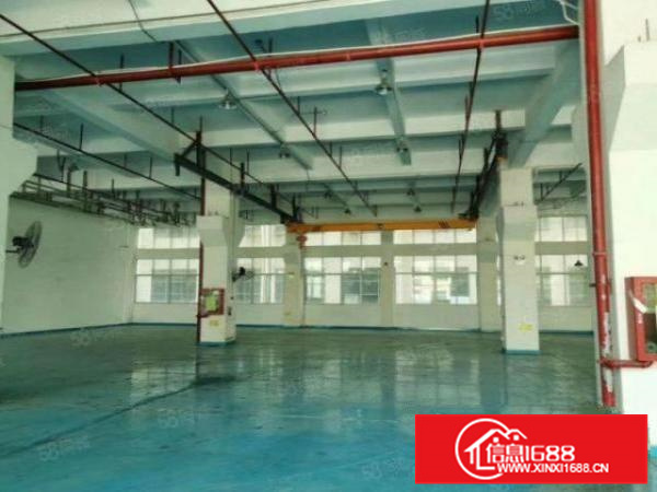 形象好可办环评容桂2000方标准一楼进车方便配电大b