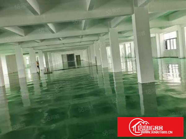 凤岗金凤凰带精装二楼2500平方厂房仓库出租