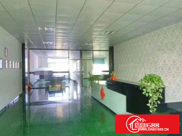 好招工可办环评容桂标准1500方带精装修a