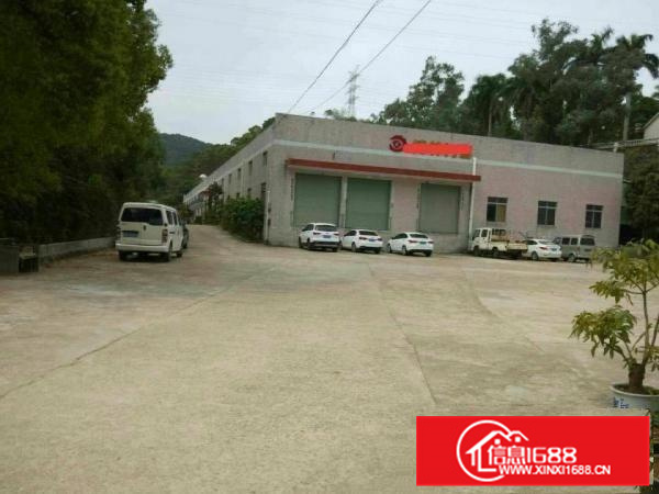 惠阳新圩4500平独栋钢构高8米空地超大可分租