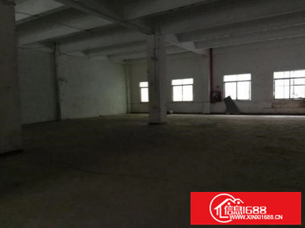 经盛工业区新出出一楼570平适合五金磨具