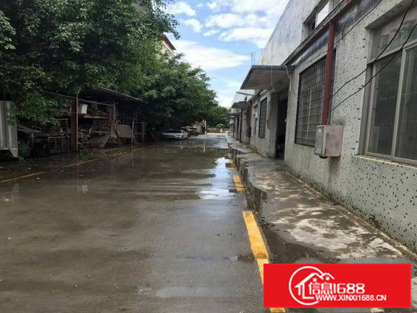 惠阳新圩新出4000平原房东钢构厂房招租