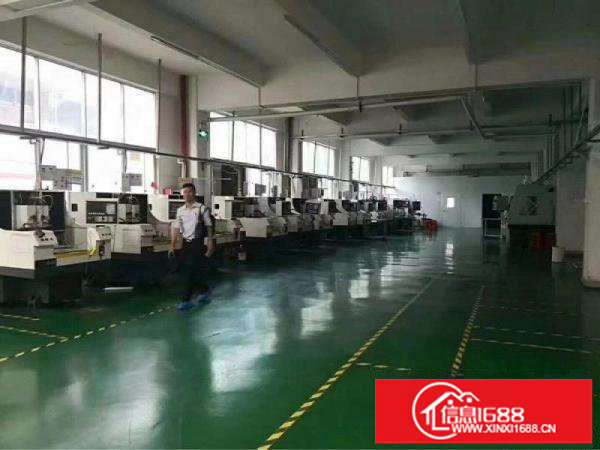 龙岗原房东一楼3300平招租