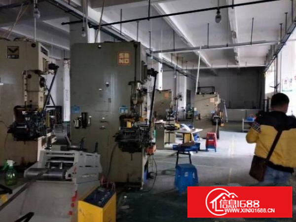 横岗茂兴路新出一楼标准厂房1000平方