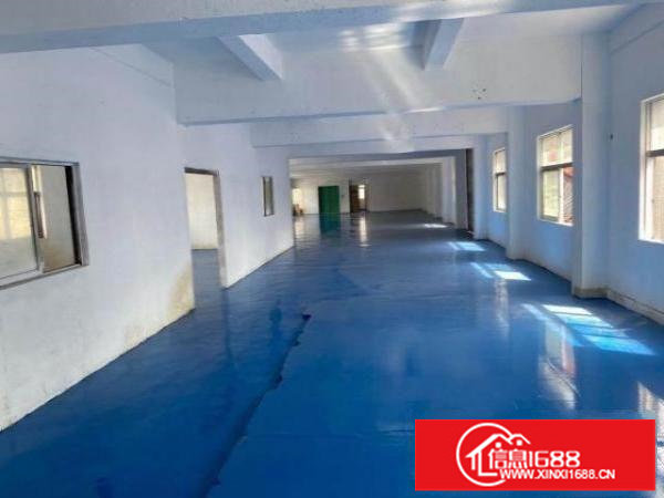 横岗沙荷路边花园式独院厂房9000平（可分租）