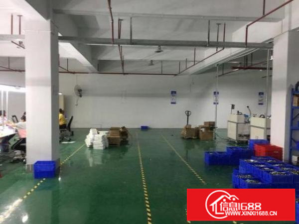 厂房出租：500平-800平、有消防喷淋、有电梯