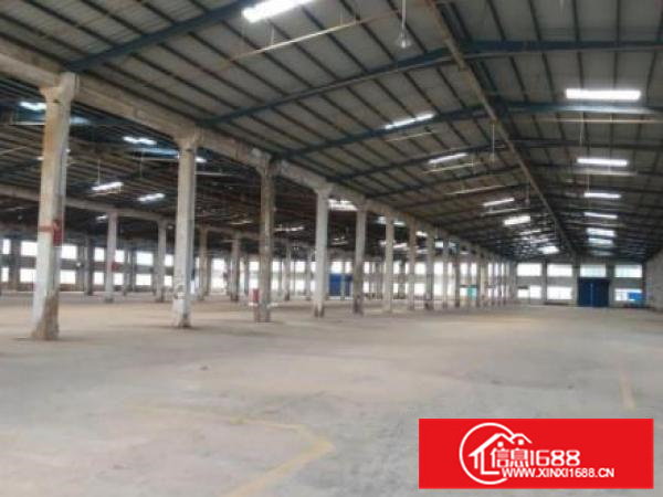园洲新出独院钢构厂房出租面积20000平滴水9米证件齐全