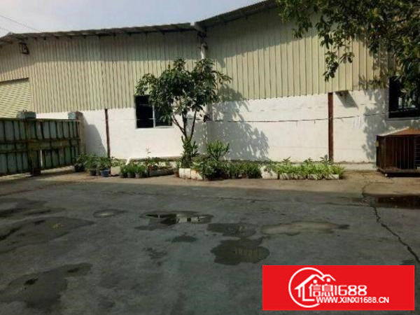 出租坪山新区龙坪路全新单一层钢结构厂房3000平方