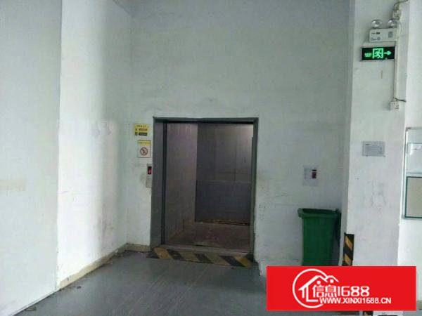 高埗超靓花园式厂房出租可分租超靓