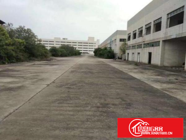 狮山新出花园式靓厂砖墙到顶证件齐全