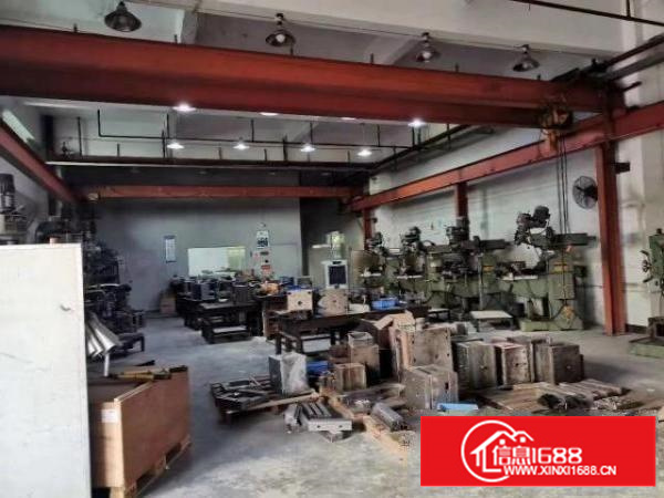 石排独门独院标准厂房带行车