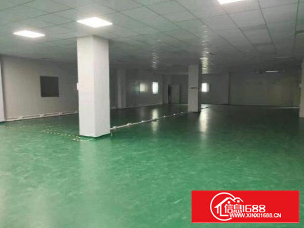 阳光工业区附近楼上1200平带装修厂房出租