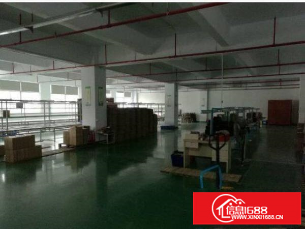 平湖鹅公岭带装修二楼1300平方现成格局招租可分租