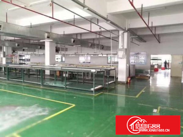 新圩长布原房东二楼带装修厂房860平出租，靠近新圩高速路口