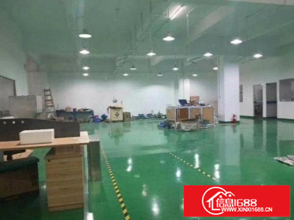 横岗大万工业区楼上新出800平厂房，即租即用